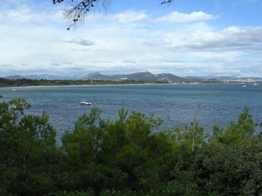 183 D20 PRESQU ILE DE GIENS 3_000005.jpg